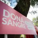 Verano sin stock: el Banco de Sangre alerta por una profunda ca�da en los donantes