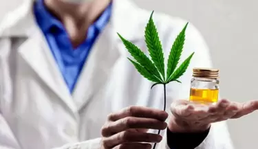 cannabis medicinal