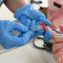 Mendoza lanza la campa�a de verano: d�nde donar sangre y qu� hospitales reciben voluntarios