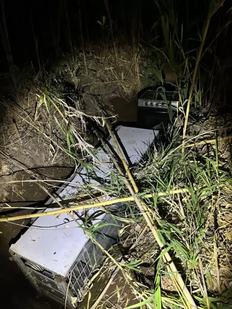 fito perro policía