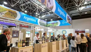 bodegas