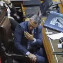 Menem confirm� que LLA buscar� bajar la edad de imputabilidad