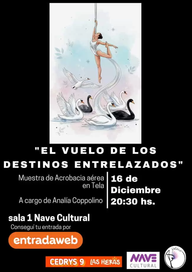 el vuelo de los destinos entrelazados