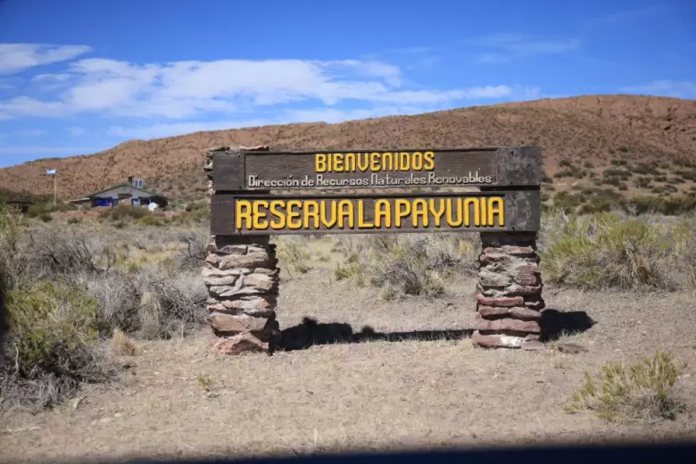 payunia