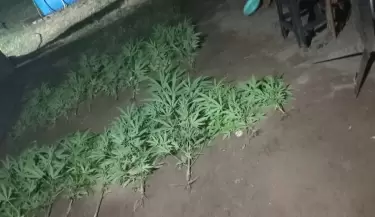 Tupungato