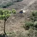 Alarma por la deforestaci�n en el Norte: en 2025 se perdieron m�s de 210.000 hect�reas de bosques
