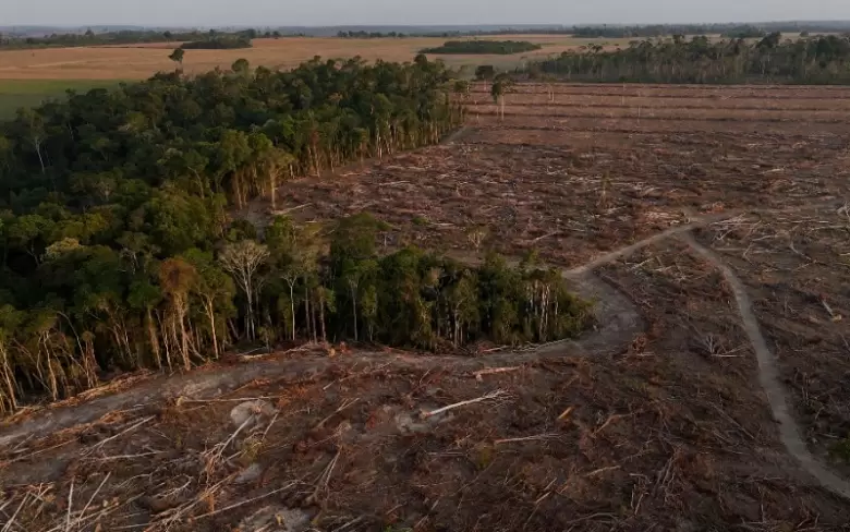 Deforestaci�n