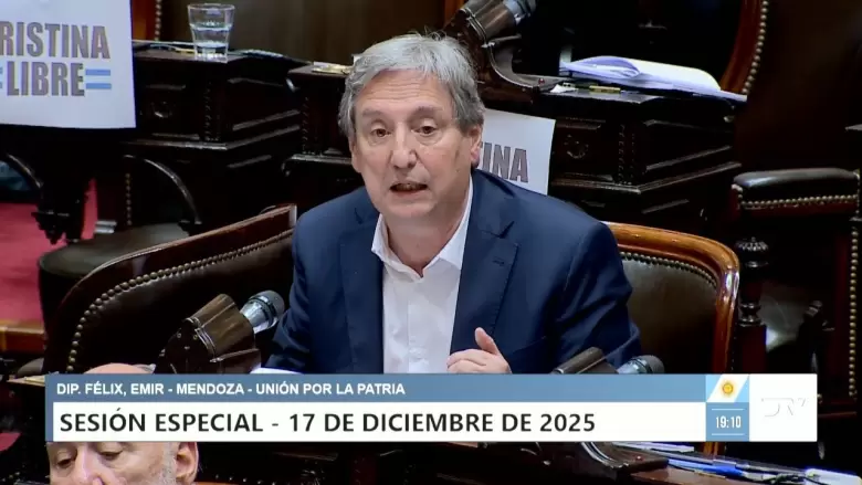 emir felix diputados