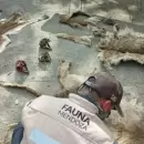 Cay� una red de faena clandestina en Las Heras: allanamientos, armas, carne ilegal y detenidos