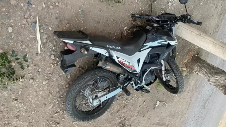 muerto
