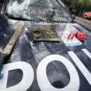 Cayeron cazadores ilegales y recuperaron una moto adulterada en el Valle de Uco