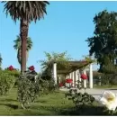 Qu� pas� un 24 de diciembre
