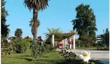 rosedal parque san martin