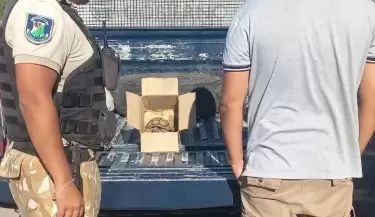 tortuga