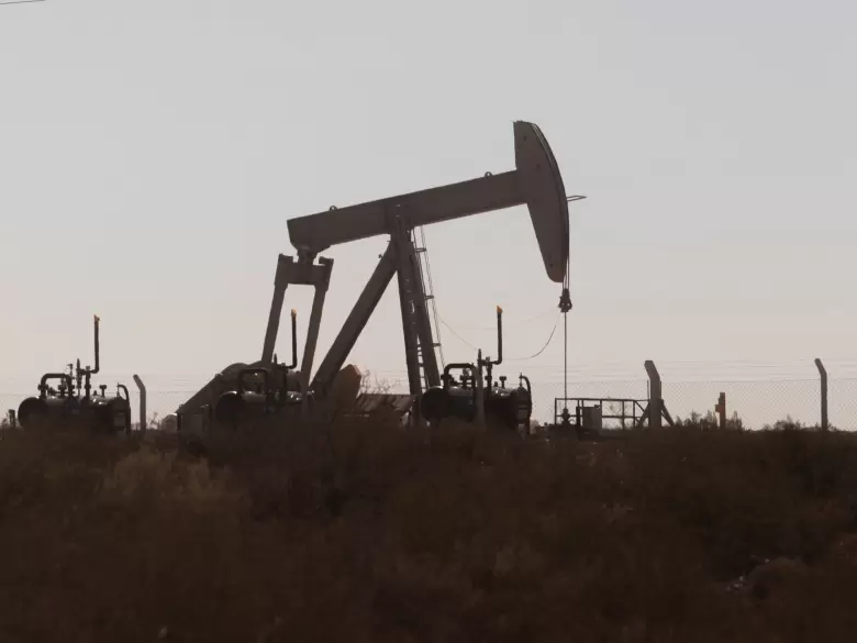 vaca muerta energ�a