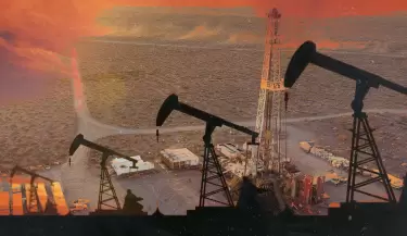 vaca muerta energ�a