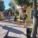 Importante operativo por un incendio en una av�cola de San Carlos