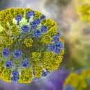 Primer infectado con H3N2 en Mendoza: �hay riesgo para vos y tu familia?