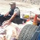 Decomisaron en La Paz casi 40 kilos de carne en mal estado y sin documentaci�n