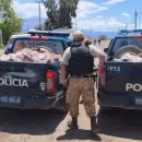 Vend�an carne de caballo para consumo humano en Las Heras: secuestraron casi una tonelada