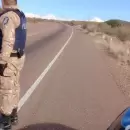 Detectaron lácteos en mal estado sanitario durante un operativo en General Alvear