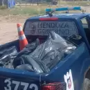 Secuestraron m�s de 170 kilos de carne en mal estado en un comercio de San Rafael