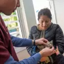 Enero con foco en la salud animal: vacunación y desparasitación gratuita en Capital