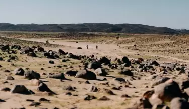 rally dakar