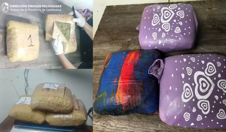 abuela narco