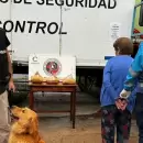 Una abuela fue detenida trasladando marihuana escondida en pi�atas con destino a Mendoza