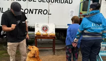 abuela narco