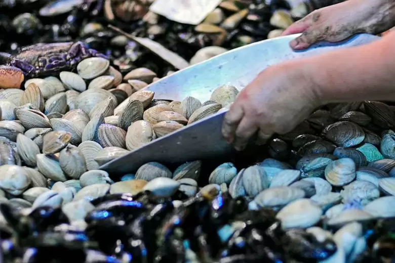 mariscos