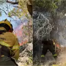 Incendios en el Sur: el Gobierno refuerza el operativo federal, con casi 300 brigadistas en el terreno