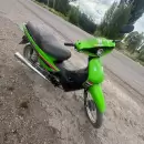 La Polic�a recuper� una moto robada y secuestr� plantas de marihuana en Tupungato