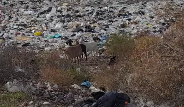 operativo rural