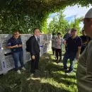 Mendoza, en la recta final para exportar ciruelas y duraznos a China