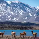 La Laguna del Diamante reabri� sus puertas e inici� la temporada tur�stica en Alta Monta�a