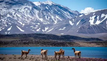 laguna del diamante