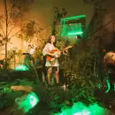 Romi López y las Tortugas presentarán su show audiovisual en Rollo Estudio