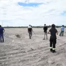 Parque solar en Guaymall�n: crece el inter�s privado por el proyecto energ�tico