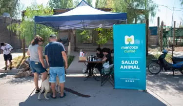 Campa�a gratuita