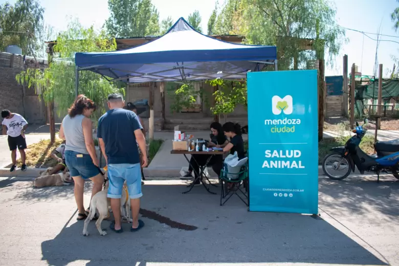 Campa�a gratuita