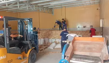 Inspecci�n