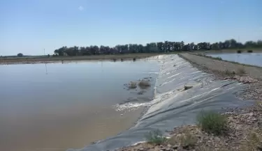 cuadro-nacional