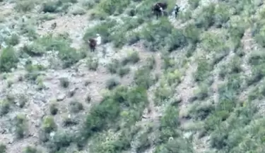 operativo potrerillos