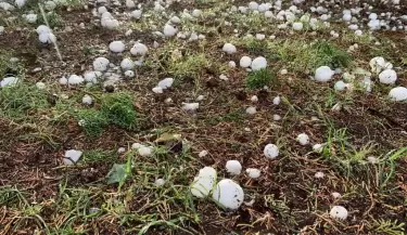 granizo en San Carlos
