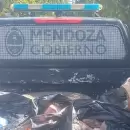 Decomisaron m�s de 100 kilos de carne no apta para consumo en un comercio de San Rafael