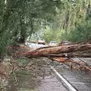 (Videos) Fuerte tormenta azot� San Rafael y dej� graves da�os, evacuaciones y un llamado a la solidaridad