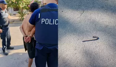 Detenido