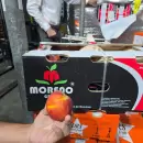 Mendoza retoma la exportaci�n de durazno en fresco a Dub�i luego de varios a�os